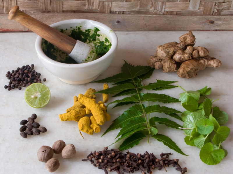 Ayurveda Herbs and Spices
